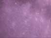 Here is the image